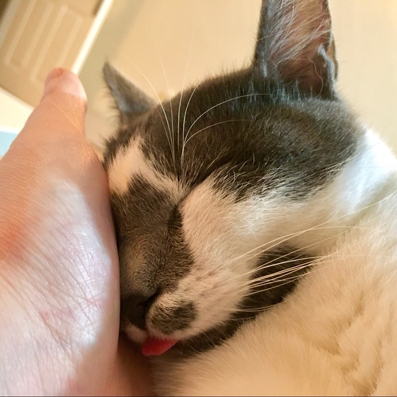 Meet your Posher, Deidre - Picture 1 of 1